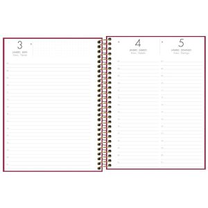 Agenda Executiva Espiral Diária 17,7 X 24cm Lume 2025 Tilibra (Sortido)