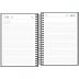 AGENDA EXECUTIVA ESPIRAL DIÁRIA 13 X 18,8 CM SPOT 2023 (SORTIDO)