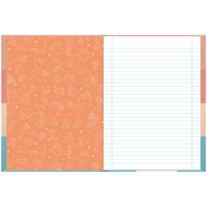 Caderno Brochura Capa Dura Disney Pets 80 Folhas Foroni (Sortido)