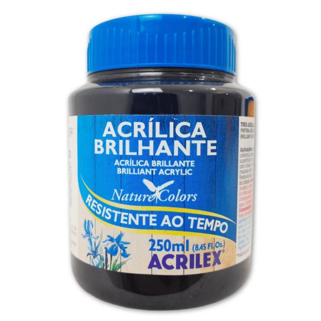 Tinta Acrílica Brilhante 250ml Preto Acrilex