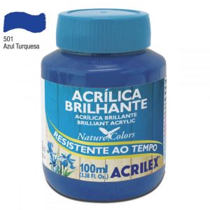 Tinta Acrílica Brilhante Acrilex 100ml (Unidade)