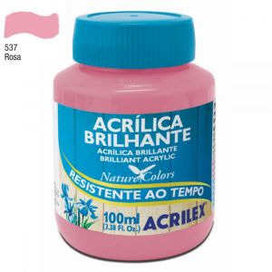 Tinta Acrílica Brilhante Acrilex 100ml (Unidade)