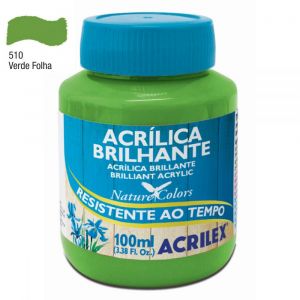 Tinta Acrílica Brilhante Acrilex 100ml (Unidade)