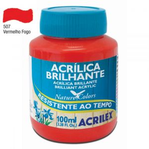 Tinta Acrílica Brilhante Acrilex 100ml (Unidade)